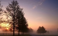 世界帆船退役船只再利用计划：环保创新获赞，帆船运动员什么时候退役