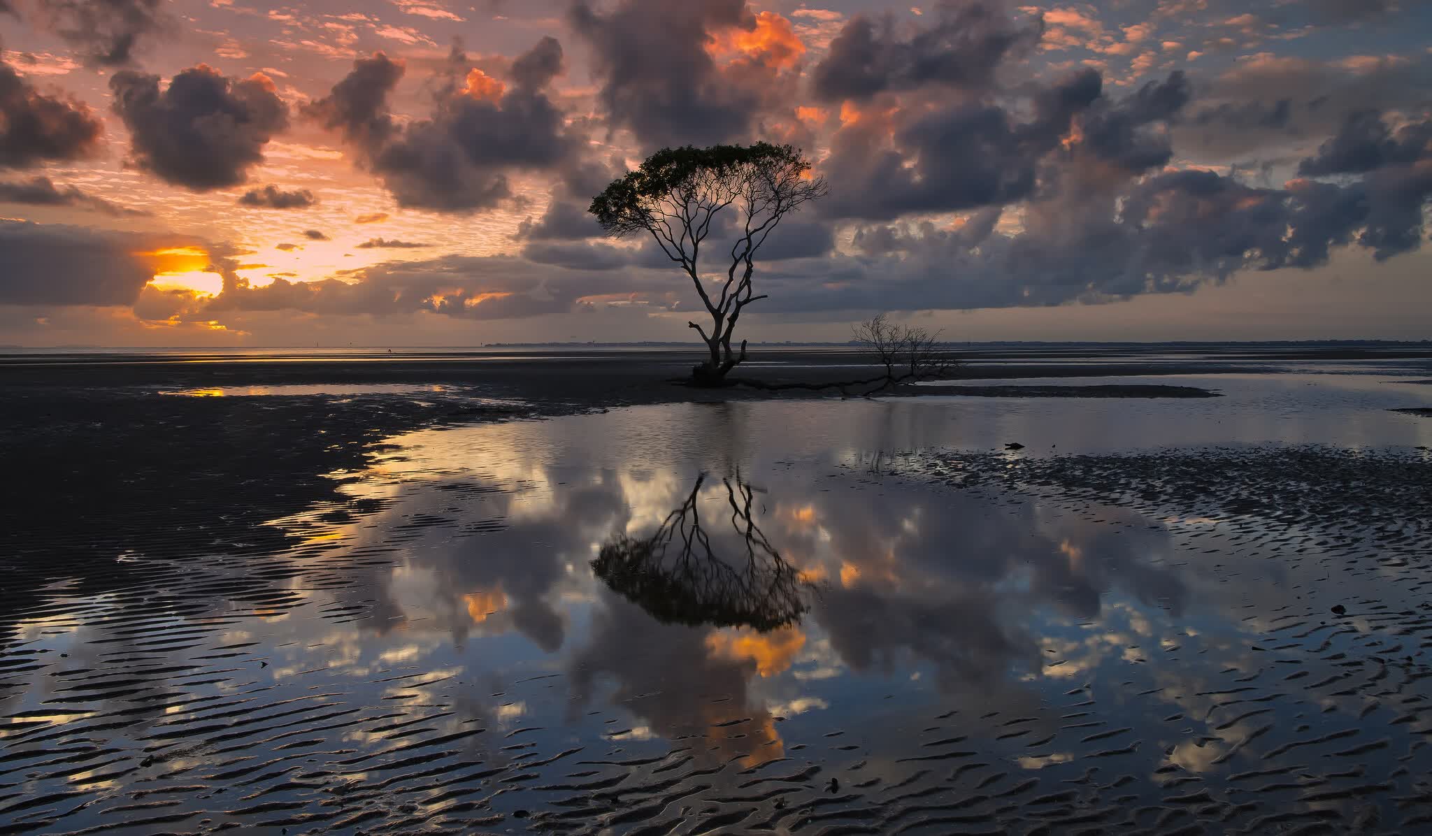 世界保龄球青年联赛线上线下融合赛事手册发布，保龄球国际赛事